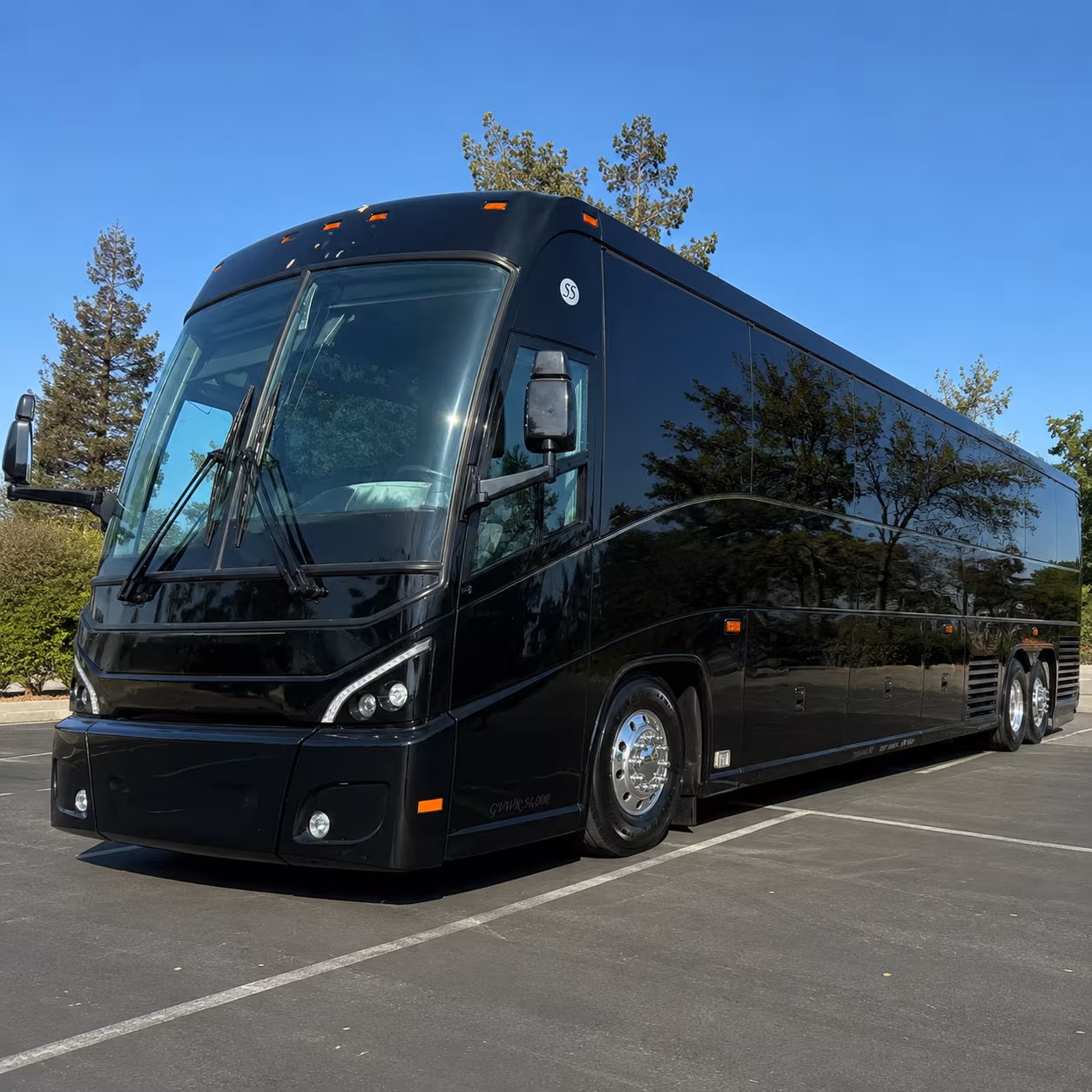 charter bus transfers to port everglades portmiami port tampa bay